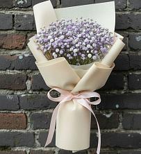 Букет цветов из:  Гипсофила в Северо-Восточные Сады