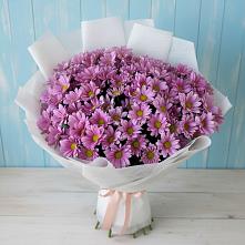 Букет цветов из:  Хризантемы в Северо-Восточные Сады