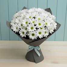 Букет цветов из:  Хризантемы в Северо-Восточные Сады
