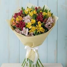 Букет цветов из:  Альстромерии в Северо-Восточные Сады