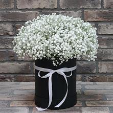 Цветочная композиция из Гипсофила в шляпной коробке в Северо-Восточные Сады