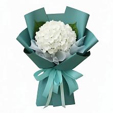 Букет цветов из:  Гортензия #REPLACE_PRED# Северо-Восточные Сады